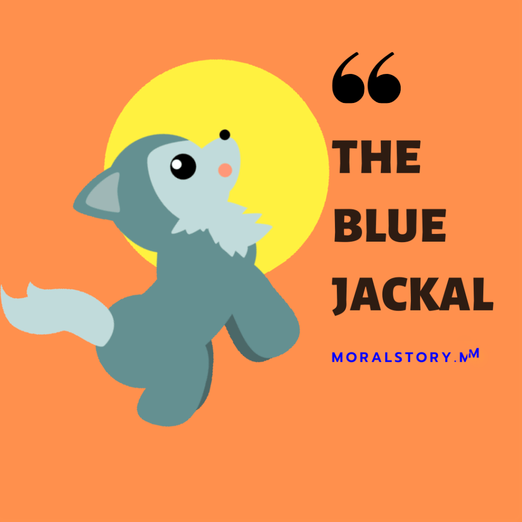the blue jackal