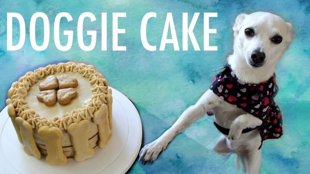 Dog Birthday Cakes: Everything You Need to Know