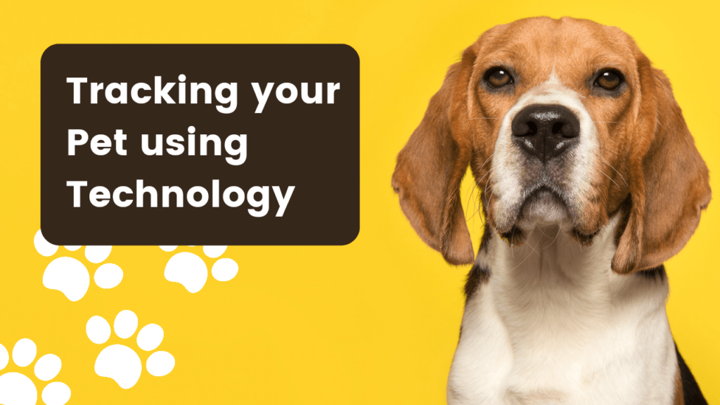 How to Track Your Pet’s Location