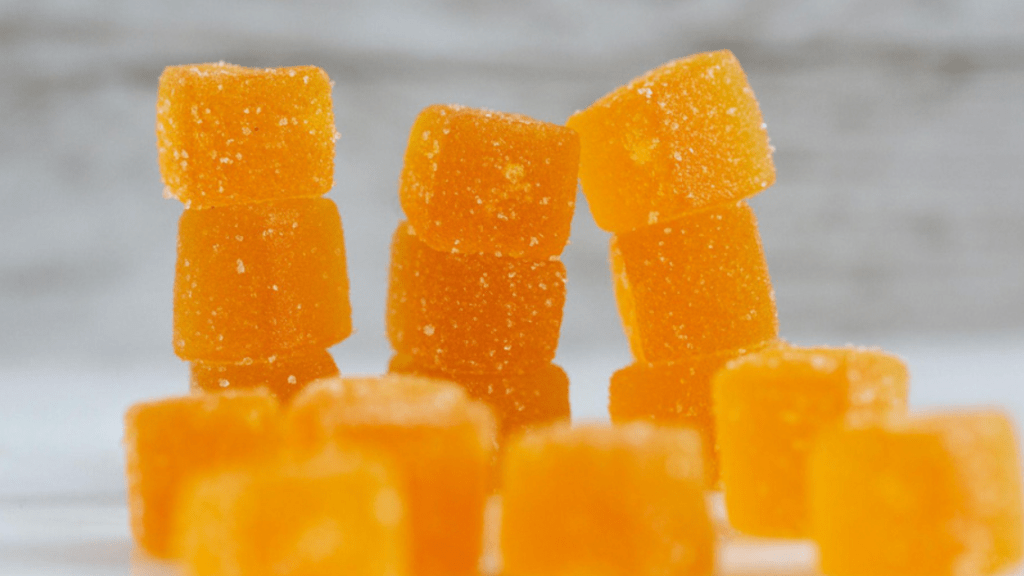 Enhance Your Pet's Quality of Life