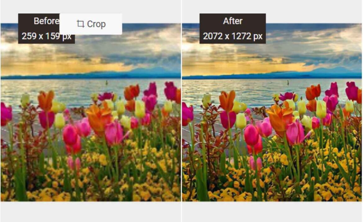 VanceAI Image Upscaler Review—How to Make HD Moral StoriesRead and