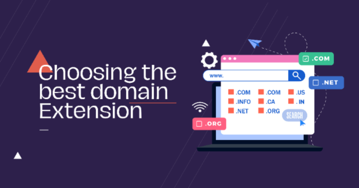 Choosing the Perfect Domain Extension for Your Business (3 Tips ...