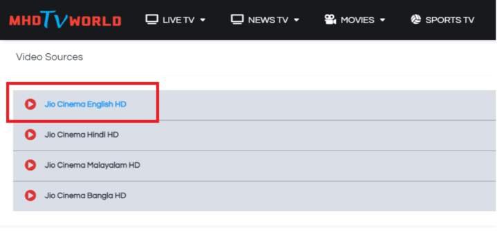 Step 3: Click on one of the servers. It will bring you to the streaming page. Click on play, and start watching.
