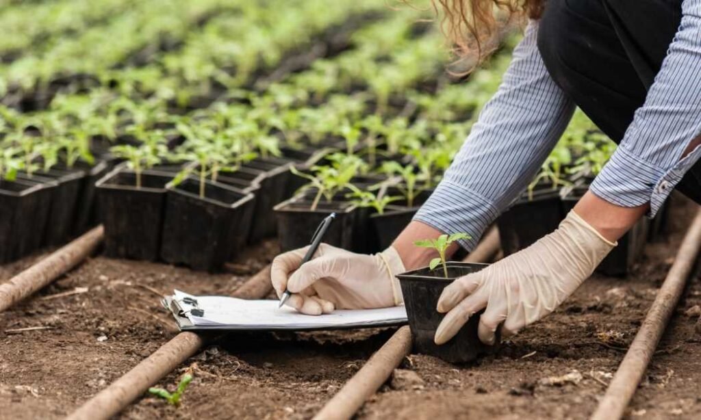 Soil Protection Initiatives